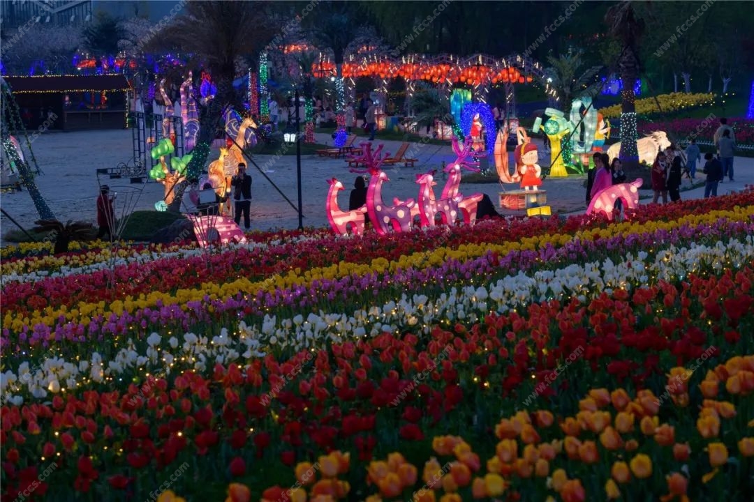 现场实图 | 璀璨烟花，绚丽绽放！云澜湾烟花节完美落幕！